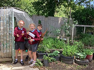 Pupils in the school polytunnel and garden